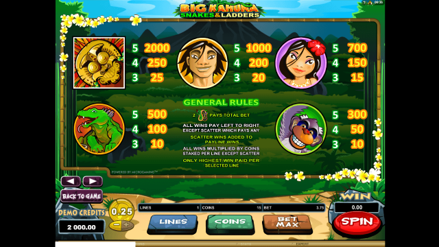 Big Kahuna Snakes And Ladders 5